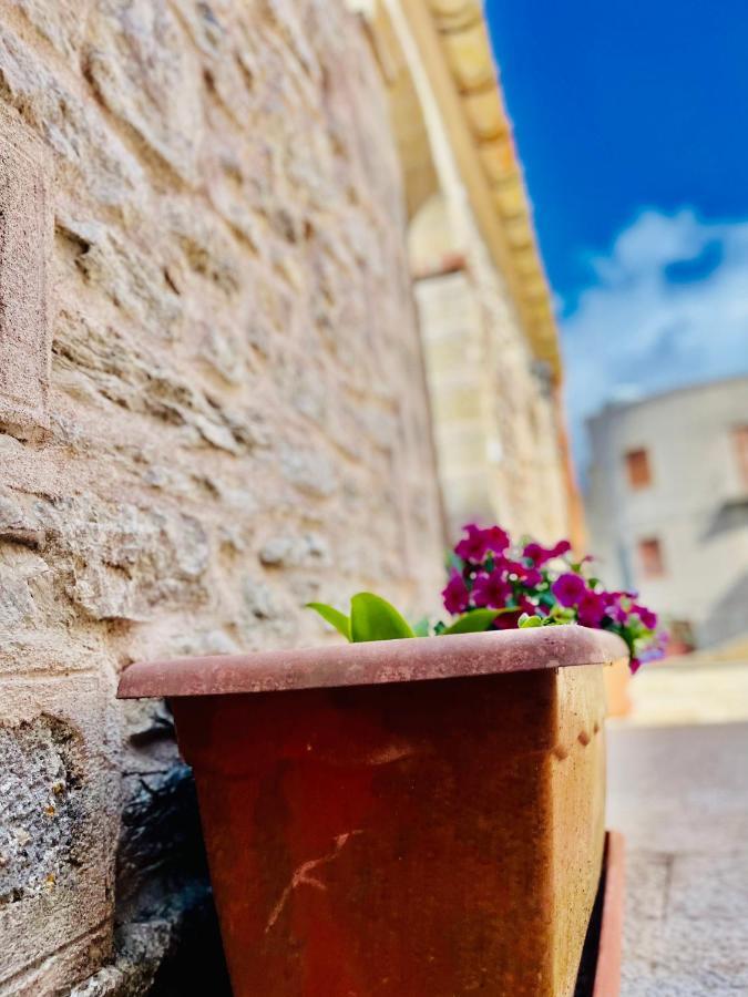 Da Ninetta * Erice